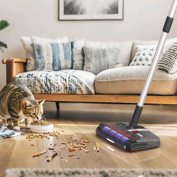 Aspirapolvere Elettrico Ricaricabile con Sistema Rullo Auto-Pulente