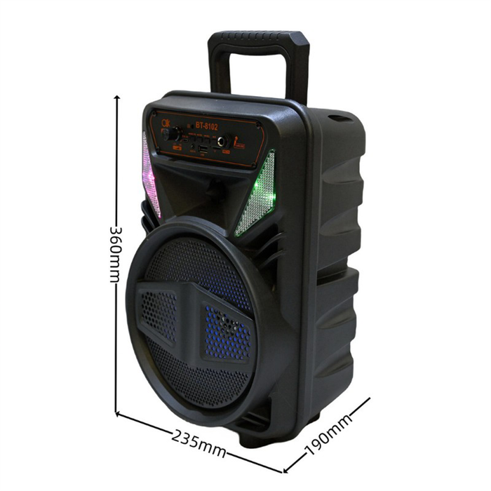 Cassa Bluetooth Portatile Karaoke 15W