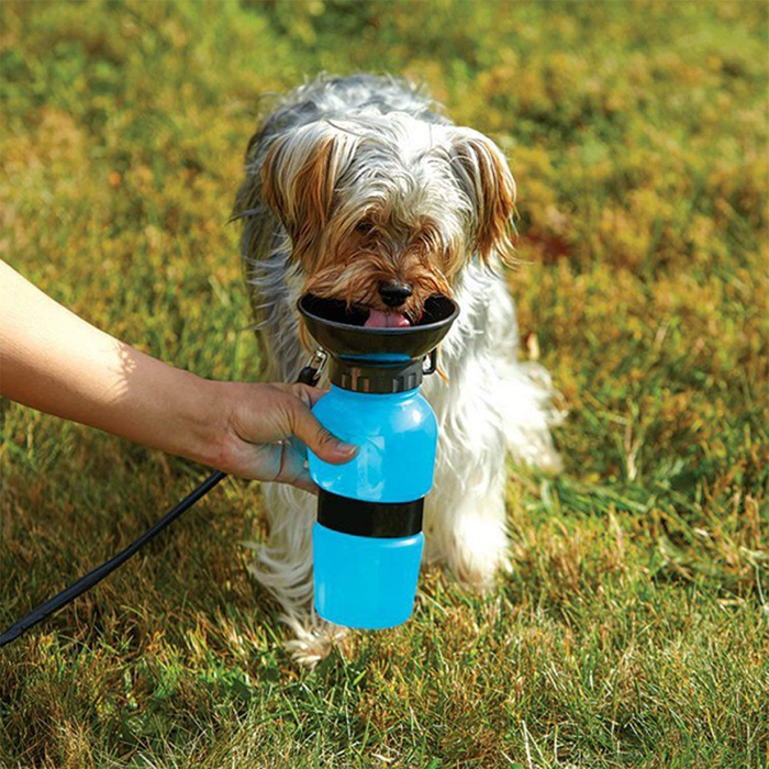 Borraccia per Animali Portatile 500ml